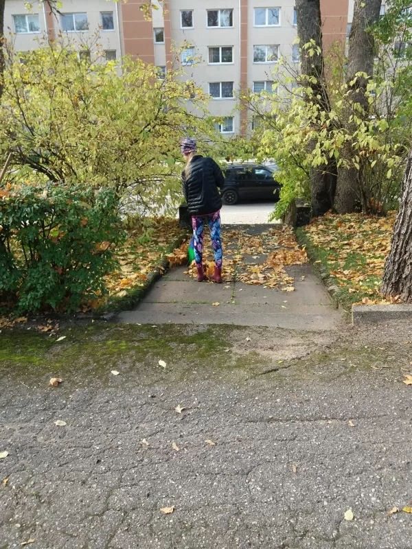 Rudens darbi
